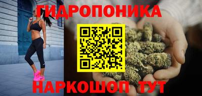 PSILOCYBIN Моздок